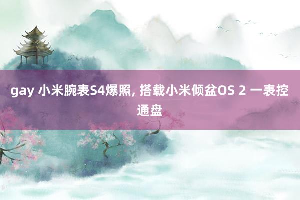 gay 小米腕表S4爆照, 搭载小米倾盆OS 2 一表控通盘