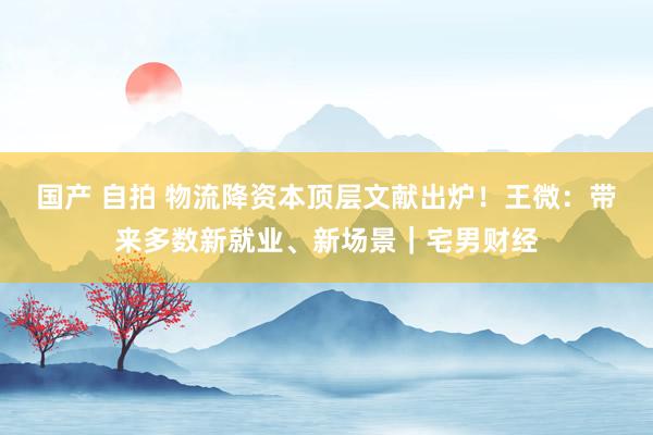国产 自拍 物流降资本顶层文献出炉！王微：带来多数新就业、新场景｜宅男财经
