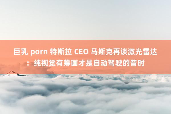 巨乳 porn 特斯拉 CEO 马斯克再谈激光雷达：纯视觉有筹画才是自动驾驶的昔时