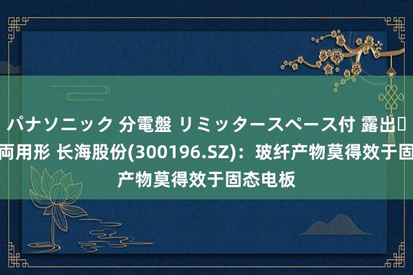 パナソニック 分電盤 リミッタースペース付 露出・半埋込両用形 长海股份(300196.SZ)：玻纤产物莫得效于固态电板