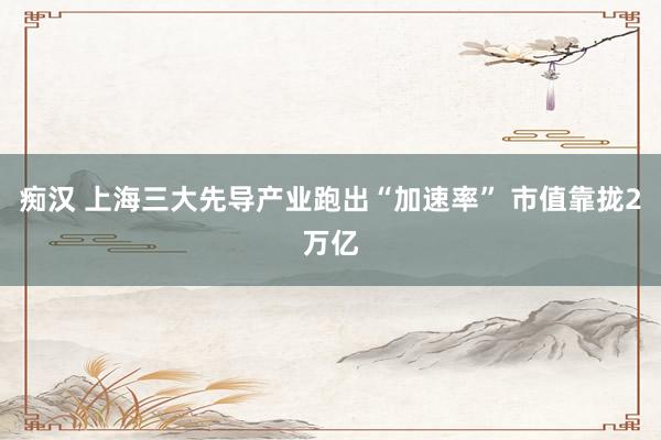 痴汉 上海三大先导产业跑出“加速率” 市值靠拢2万亿