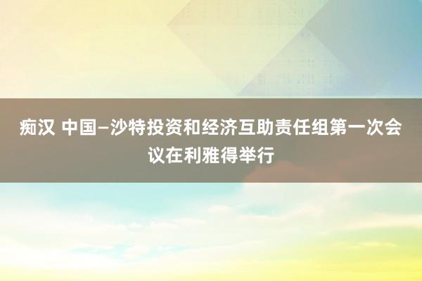 痴汉 中国—沙特投资和经济互助责任组第一次会议在利雅得举行