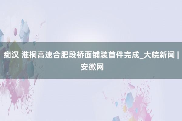 痴汉 淮桐高速合肥段桥面铺装首件完成_大皖新闻 | 安徽网