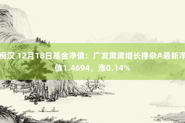 痴汉 12月18日基金净值：广发肃肃增长搀杂A最新净值1.4694，涨0.14%