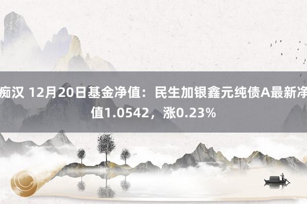 痴汉 12月20日基金净值：民生加银鑫元纯债A最新净值1.0542，涨0.23%