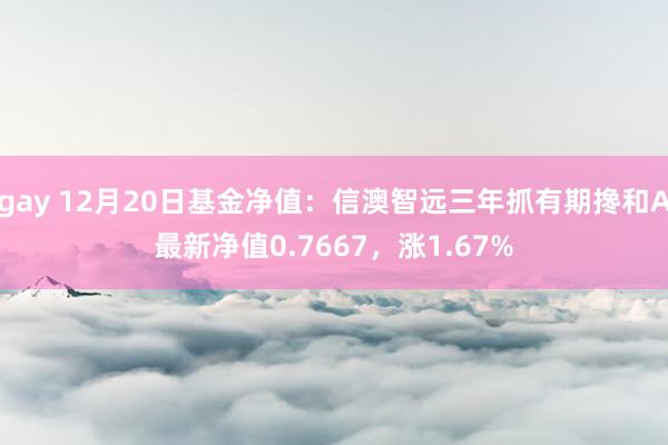 gay 12月20日基金净值：信澳智远三年抓有期搀和A最新净值0.7667，涨1.67%