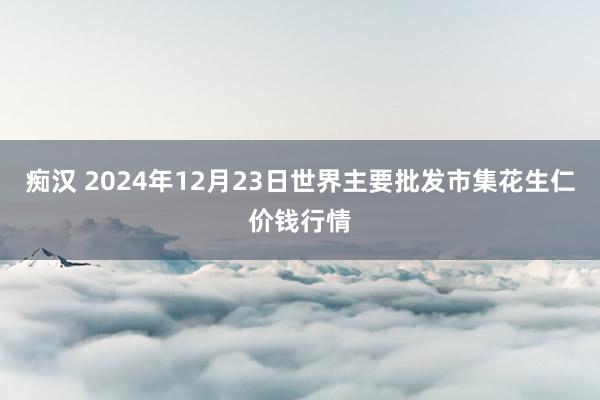 痴汉 2024年12月23日世界主要批发市集花生仁价钱行情
