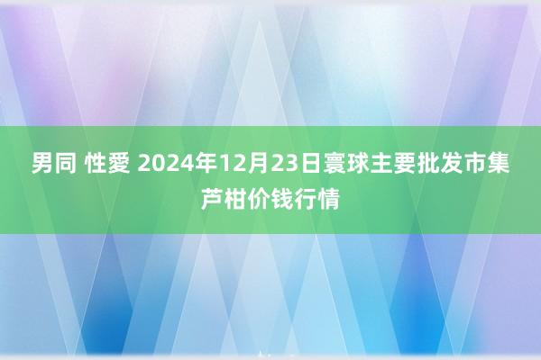 男同 性愛 2024年12月23日寰球主要批发市集芦柑价钱行情