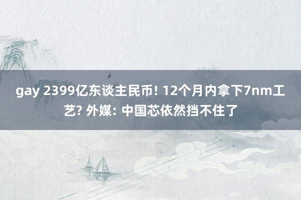 gay 2399亿东谈主民币! 12个月内拿下7nm工艺? 外媒: 中国芯依然挡不住了