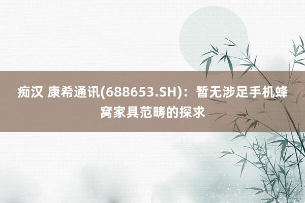 痴汉 康希通讯(688653.SH)：暂无涉足手机蜂窝家具范畴的探求