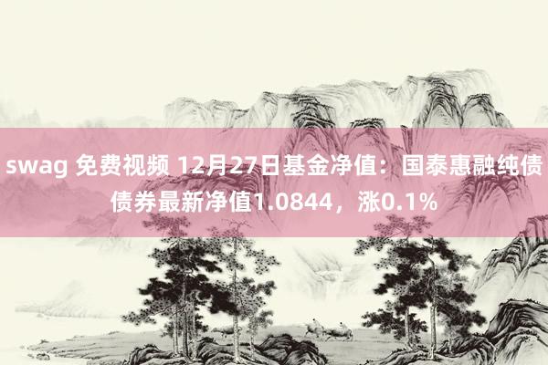 swag 免费视频 12月27日基金净值：国泰惠融纯债债券最新净值1.0844，涨0.1%
