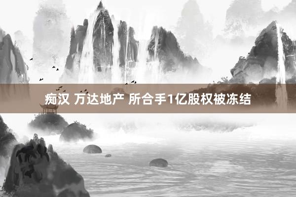 痴汉 万达地产 所合手1亿股权被冻结