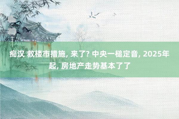痴汉 救楼市措施, 来了? 中央一槌定音, 2025年起, 房地产走势基本了了