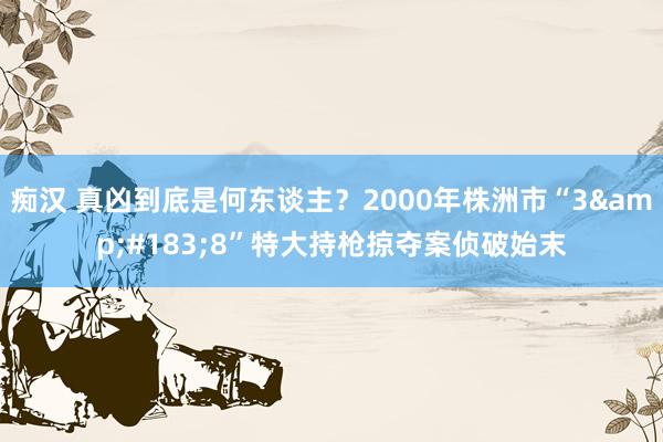 痴汉 真凶到底是何东谈主？2000年株洲市“3&#183;8”特大持枪掠夺案侦破始末