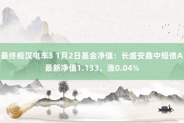 最终痴汉电车3 1月2日基金净值：长盛安鑫中短债A最新净值1.133，涨0.04%